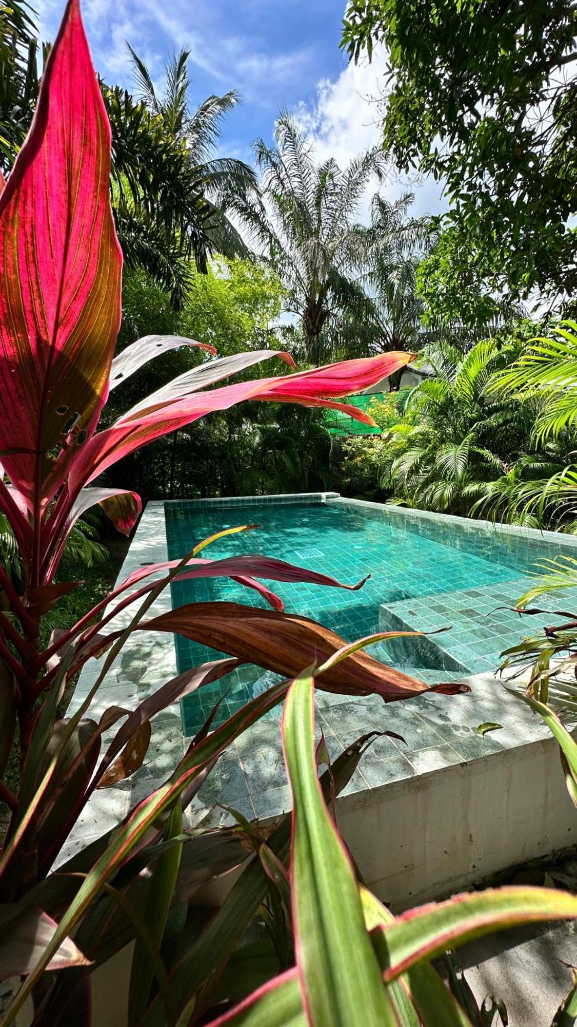 Salad Beach Guest House 帕干岛 外观 照片